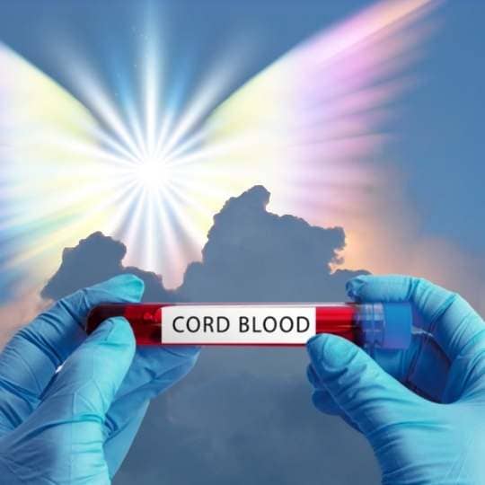 Your cord blood does not disappear through the cutting of the umbilical, it transforms into spiritual guidance